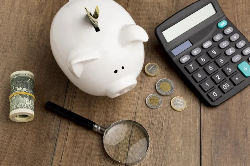 Wsparcie budżetu z Bocian Finanse